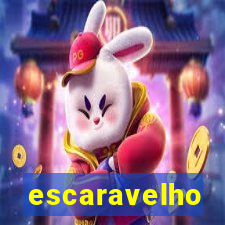 escaravelho significado espiritual